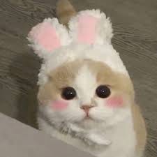 Indah Permatasari avatar